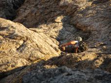 Klik za večjo sliko